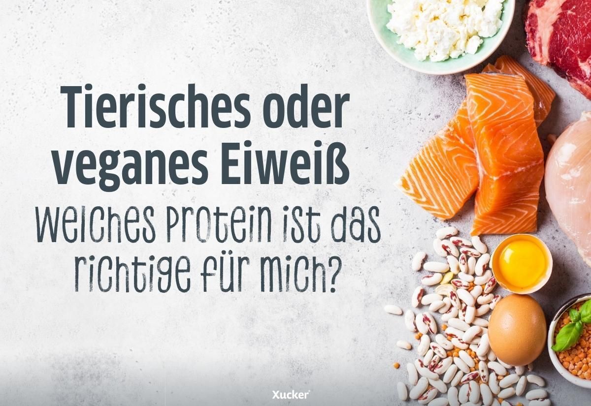 Ist Eiweiss Und Protein Dasselbe www.xucker.de