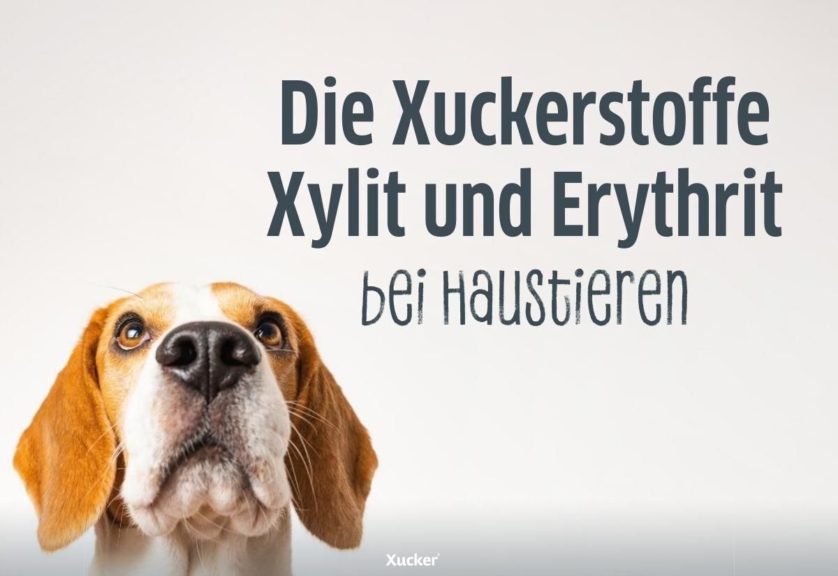 Die Xuckerstoffe Xylit und Erythrit bei Haustieren Die Xuckerstoffe Xylit und Erythrit bei Haustieren