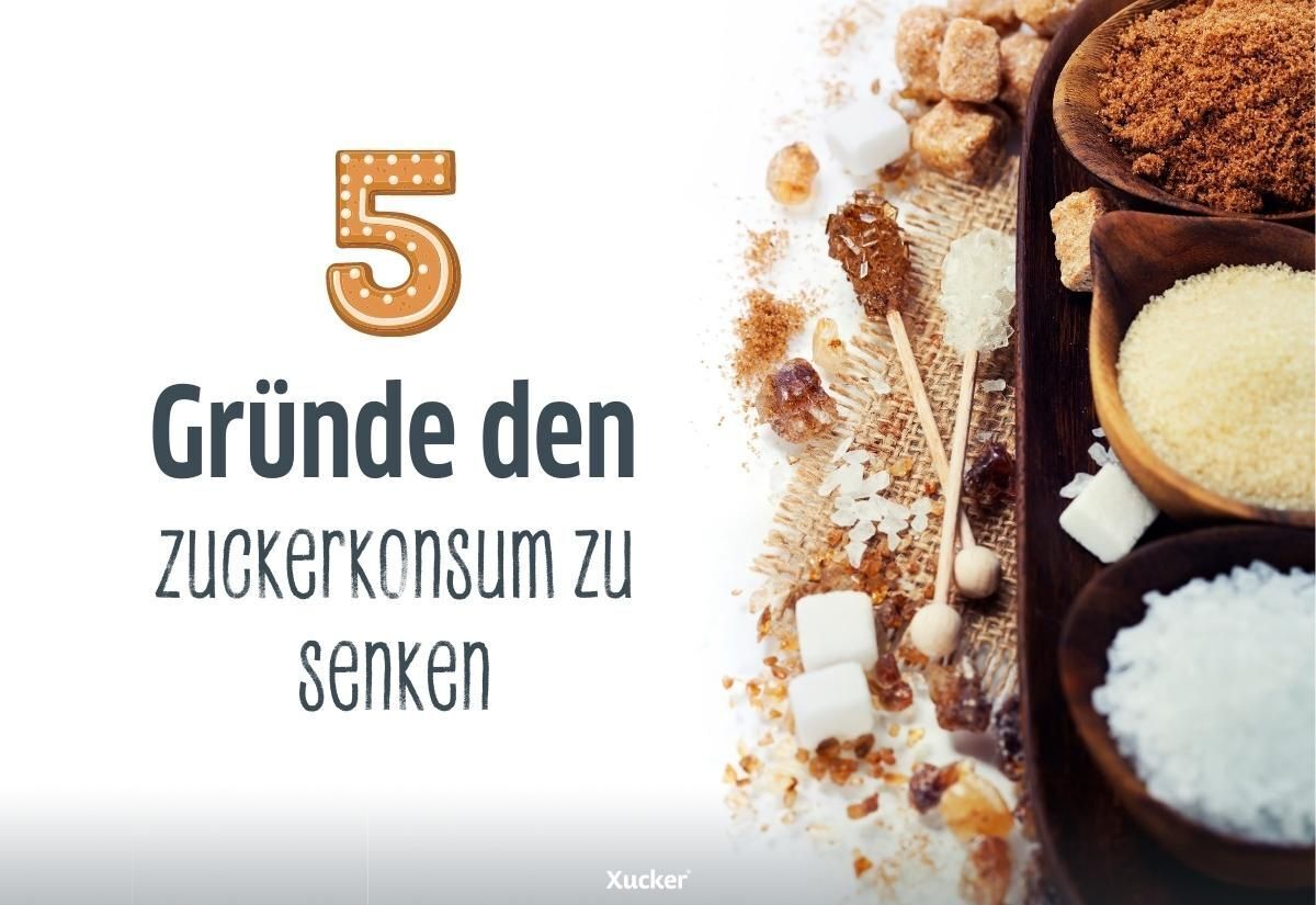 5 Gründe den Zuckerkonsum zu senken 5 Gründe den Zuckerkonsum zu senken
