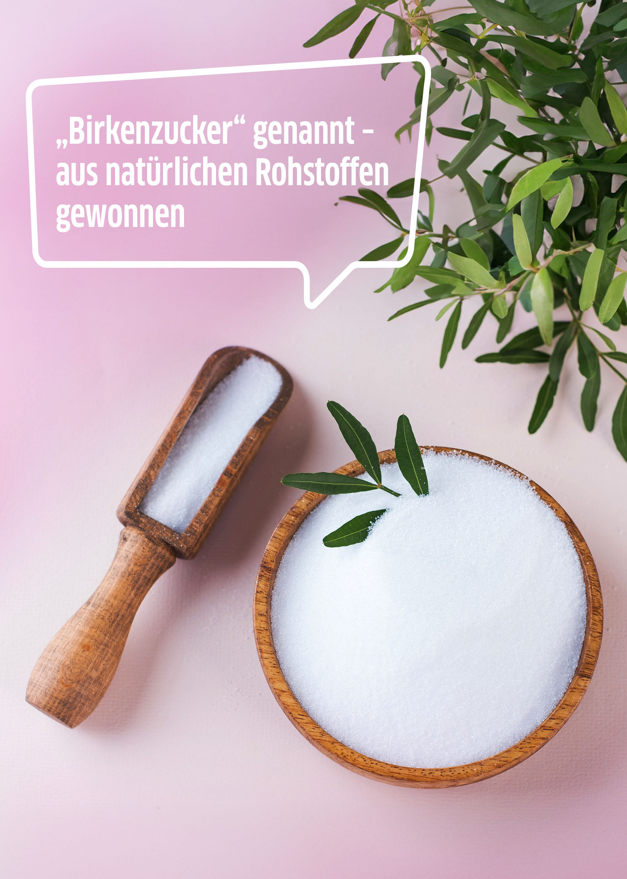 Xucker Premium ist ein natürlicher Zuckerersatz aus nachwachsenden Rohstoffen